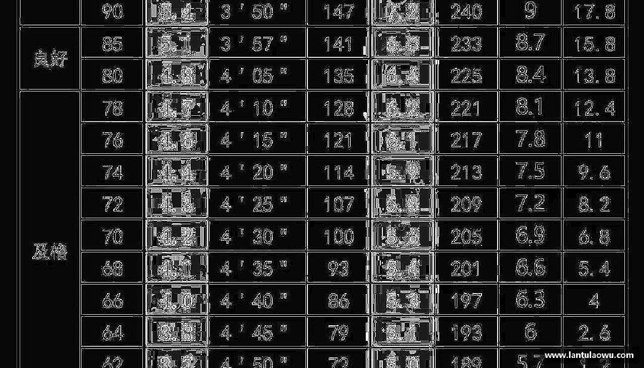 全力以赴，追逐梦想的脚步。